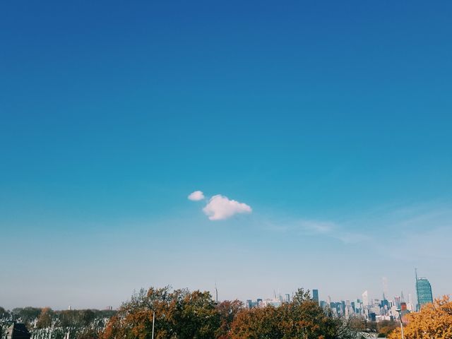 This image shows a single fluffy cloud in the vast blue sky over a distant city skyline. The scene captures a sense of tranquility and minimalism. The trees in the foreground have fall foliage, adding a hint of autumn color. Ideal for websites or presentations conveying peacefulness, nature juxtaposed with city life, weather concepts, or urban scenery.
