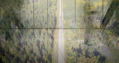 Cutting straight road running through evergreen canopy with glass mullions reflecting in double expo