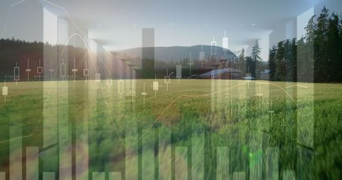 Financial Growth and Environmental Balance