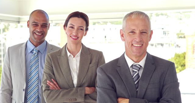 Business Team Smiling in Office Setting with Natural Light - Download Free Stock Images Pikwizard.com