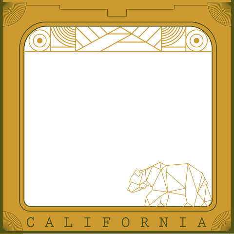 polygonal bear design in art deco frame transparent background - Download Free Stock Videos Pikwizard.com