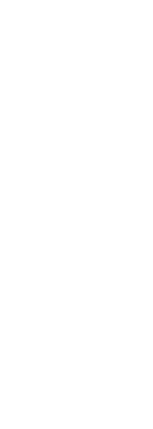 Silhouette of Man Celebrating Victory on Transparent Background