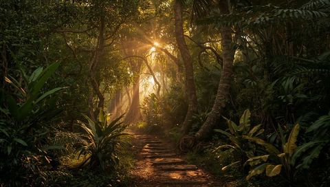 Depicts a narrow stone pathway meandering through a lush tropical forest with sunlight filtering through dense foliage, creating an enchanted atmosphere. Perfect for concepts related to adventure tourism, peaceful retreats, or environmental conservation campaigns. Suitable for illustrating the beauty and serenity of untouched nature in travel guides, magazines, or environmental blogs.