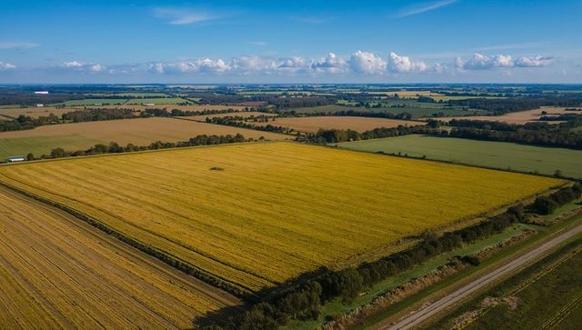 Aerial golden crop field stretching across patchwork farmland with hedgerows and road