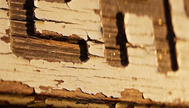 Peeling off-white paint revealing weathered wood grain, cracked rustic exterior siding