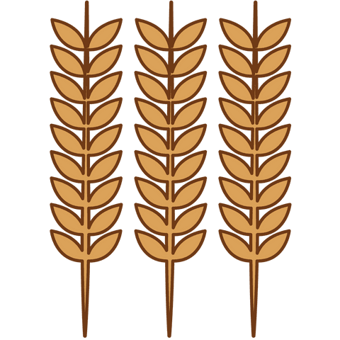 Golden Ears of Corn Illustration on Transparent Background - Download Free Stock Videos Pikwizard.com