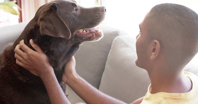 Man enjoying quality time with Labrador Retriever on a sofa, both appearing happy and content. Dog-owner relationship sentiment ideal for pet care advertisements, emotional well-being themes, and veterinary services promotions.