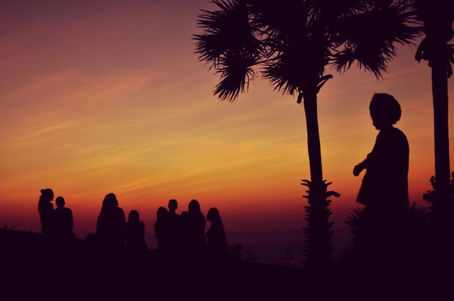 Silhouetted Group Enjoying Sunset Near Palm Trees - Download Free Stock Photos Pikwizard.com