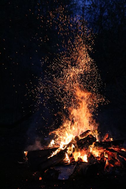 Campfire with Flying Sparks in a Forest Setting - Download Free Stock Photos Pikwizard.com