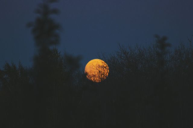 Full Moon Rising Above Forest at Night - Download Free Stock Photos Pikwizard.com