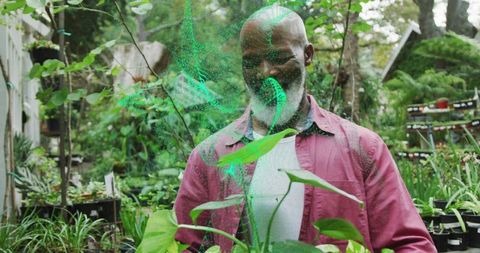 Senior gardener tending potted plants in nursery with futuristic green hologram overlay