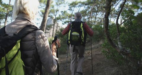 Senior Couple Hiking with Trekking Poles in a Sunny Forest - Download Free Stock Images Pikwizard.com