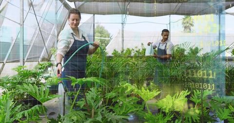 Mature woman watering plants in greenhouse while coworker tending nursery irrigation
