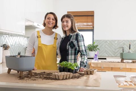 Diverse women planting herb seedlings on kitchen island using biodegradable pots and soil
