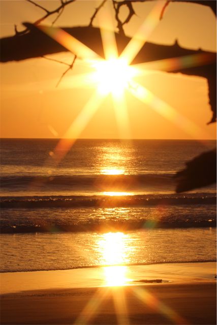 Sunset dusk beach  - Download Free Stock Photos Pikwizard.com