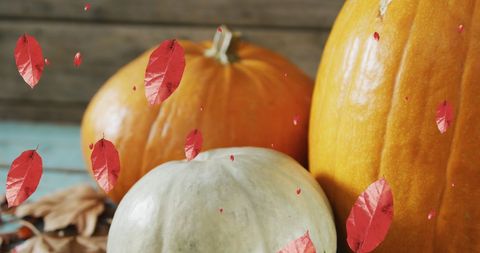 Pumpkins and Falling Leaves Autumn Scene - Download Free Stock Images Pikwizard.com