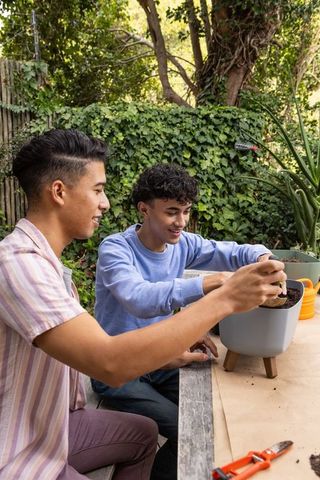 Friends Enjoy Gardening Together in Bright Backyard Setting