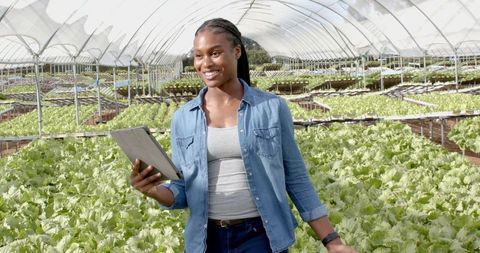 Woman using tablet in hydroponic greenhouse for smart farming