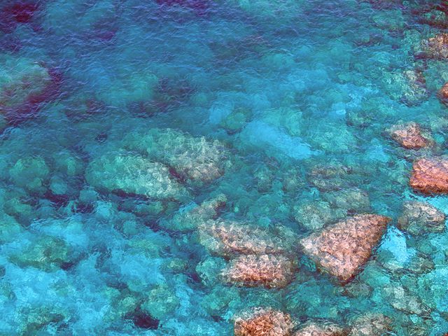 Perfect for use in travel brochures, vacation ads, or backgrounds for nature websites, this image features crystal clear ocean water with visible rocks below, showcasing the beauty of natural aquatic environments. It can also be used for promoting coastal destinations.