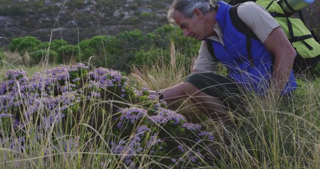 Senior Man Exploring Wildflowers During Hike on Mountain - Download Free Stock Images Pikwizard.com