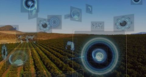 Technology in agriculture: hud overlays on vineyard landscape