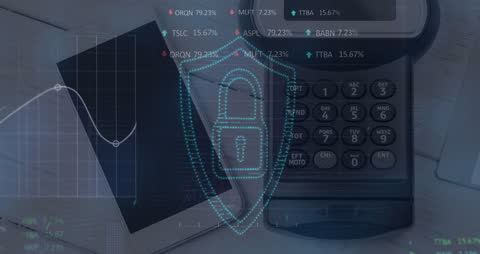 Digital Security Overlay on Electronic Devices
