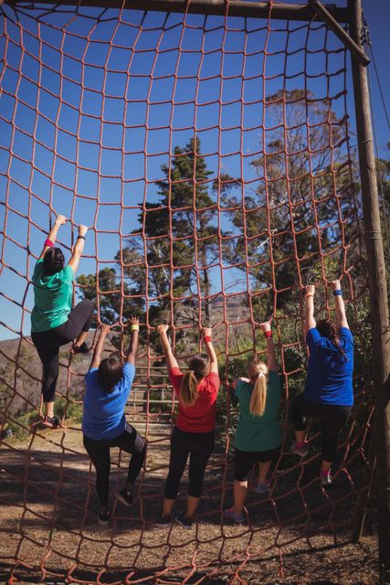 Women Climbing Net in Outdoor Obstacle Course - Download Free Stock Images Pikwizard.com