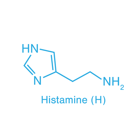 Transparent Illustration of Histamine Chemical Structure - Download Free Stock Videos Pikwizard.com