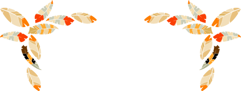 Transparent Corner Frame with Tribal Feather Design