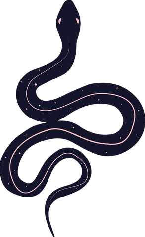 Elegant Minimalist Serpent Illustration on Transparent Background