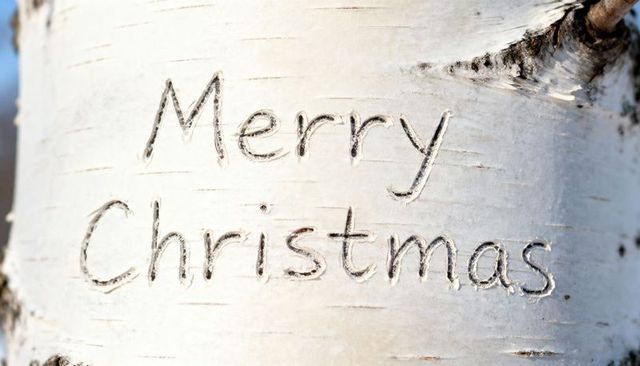 Merry christmas carving on birch bark closeup rustic holiday inscription on trunk