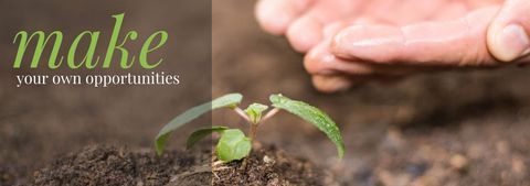 Hand Nurturing Young Plant Symbolizing Growth and Opportunity - Download Free Stock Templates Pikwizard.com
