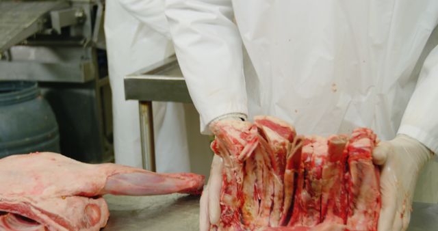 Butcher Processing Fresh Red Meat Cuts in Butcher Shop - Download Free Stock Images Pikwizard.com