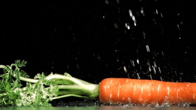 Dynamic close-up showing a carrot experiencing raindrops in slow motion against a plain black background creates a dramatic contrast between the vivid orange and the darkness. Ideal for illustrating freshness in food advertisements, adding an artistic touch to organic vegetable promotions, or enhancing recipe blogs focused on ingredients' natural beauty.