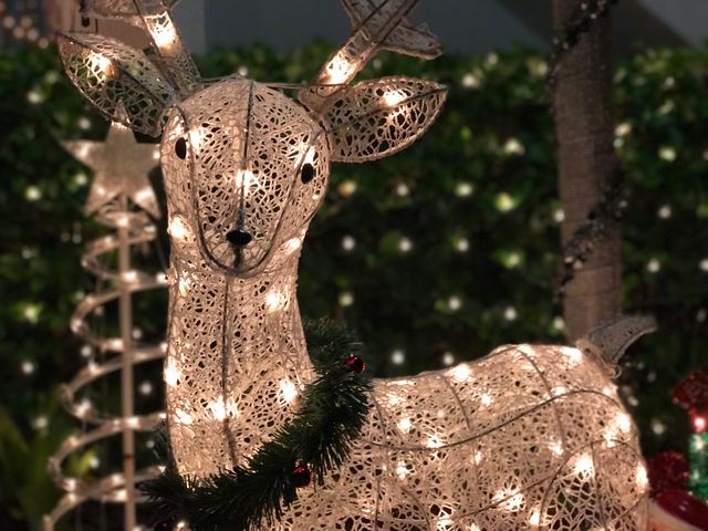 Christmas light-up reindeer decorated with a green garland at night, creating festive spirit. Ideal for holiday cards, winter celebration promotions, and social media posts.