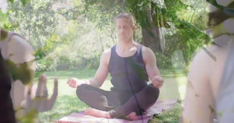 Serene Meditation in Natural Setting with Diverse Group