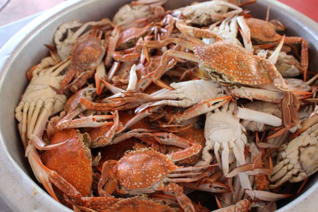 Freshly caught crabs are in a large metal bowl. Ideal for illustrating seafood markets, culinary articles, or cooking recipes. These crabs add a sense of freshness and authenticity to any food-related project.