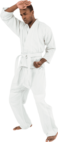 transparent martial artist expressing karate prowess - Download Free Stock Videos Pikwizard.com