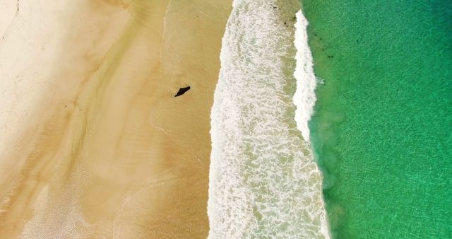 Aerial view capturing a pristine beach with stunning turquoise water and gentle waves lapping against the sandy shore. Perfect for travel blogs, vacation brochures, posters in relaxation or wellness settings, or promotional material for beach resorts and destinations.