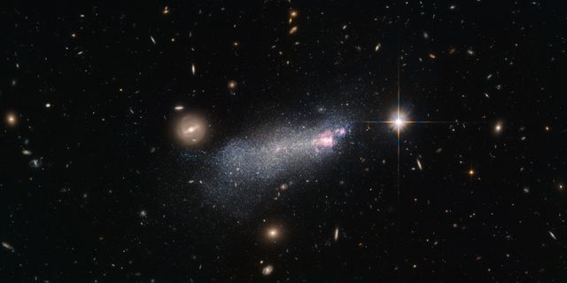 This NASA/European Space Agency (ESA) Hubble Space Telescope picture shows a galaxy named SBS 1415+437 (also called SDSS CGB 12067.1), located about 45 million light-years from Earth. SBS 1415+437 is a Wolf-Rayet galaxy, a type of star-bursting galaxy with an unusually high number of extremely hot and massive stars known as Wolf-Rayet stars.  These stars can be around 20 times as massive as the sun, but seem to be on a mission to shed surplus mass as quickly as possible — they blast substantial winds of particles out into space, causing them to dwindle at a rapid rate. A typical star of this type can lose a mass equal to that of our sun in just 100,000 years!  These massive stars are also incredibly hot, with surface temperatures some 10 to 40 times that of the sun, and very luminous, glowing at tens of thousands to several million times the brightness of the sun. Many of the brightest and most massive stars in the Milky Way are Wolf-Rayet stars.  Because these stars are so intense they do not last very long, burning up their fuel and blasting their bulk out into the cosmos on very short timescale — only a few hundred thousand years. Because of this it is unusual to find more than a few of these stars per galaxy — except in Wolf-Rayet galaxies, like the one in this image.  Credit: ESA/Hubble &amp; NASA  <b><a href="http://www.nasa.gov/audience/formedia/features/MP_Photo_Guidelines.html" rel="nofollow">NASA image use policy.</a></b>  <b><a href="http://www.nasa.gov/centers/goddard/home/index.html" rel="nofollow">NASA Goddard Space Flight Center</a></b> enables NASA’s mission through four scientific endeavors: Earth Science, Heliophysics, Solar System Exploration, and Astrophysics. Goddard plays a leading role in NASA’s accomplishments by contributing compelling scientific knowledge to advance the Agency’s mission.  <b>Follow us on <a href="http://twitter.com/NASAGoddardPix" rel="nofollow">Twitter</a></b>  <b>Like us on <a href="http://www.facebook.com/pages/Greenbelt-MD/NASA-Goddard/395013845897?ref=tsd" rel="nofollow">Facebook</a></b>  <b>Find us on <a href="http://instagrid.me/nasagoddard/?vm=grid" rel="nofollow">Instagram</a></b>  <b><a href="http://goes.gsfc.nasa.gov/" rel="nofollow">Credit: NOAA/NASA GOES Project</a></b> 