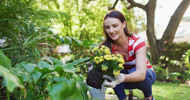 Smiling caucasian woman gardening, in garden planting yellow flowers. spending free time outdoors at home.