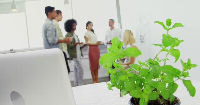 Diverse Team Collaborating in Modern Office with Green Plant on Foreground - Download Free Stock Images Pikwizard.com