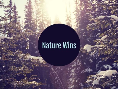wintery forest scene with motivational text - Download Free Stock Templates Pikwizard.com