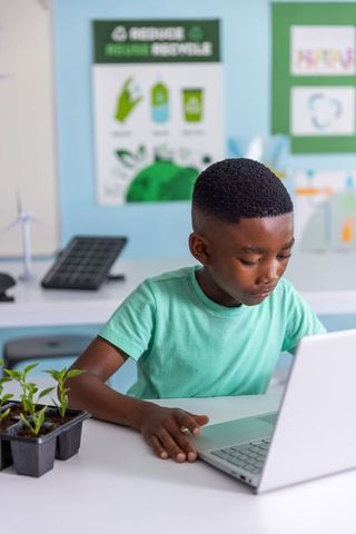 African american boy using laptop for stem project with solar model and seedlings
