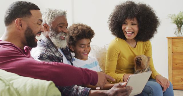 Happy Multigenerational Family Enjoying Time Together Indoors - Download Free Stock Images Pikwizard.com