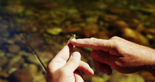 Hand Holding Small Green Grasshopper Near Water - Download Free Stock Photos Pikwizard.com