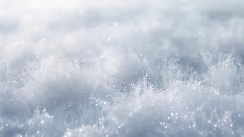 Morning Macro Video Hoarfrost Glinting on Grass Blades Shimmering Winter Bokeh