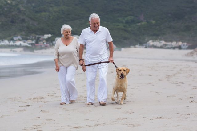 Senior couple walking on the beach with dog - Download Free Stock Photos Pikwizard.com