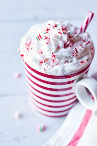 Festive Peppermint Hot Chocolate with Whipped Cream