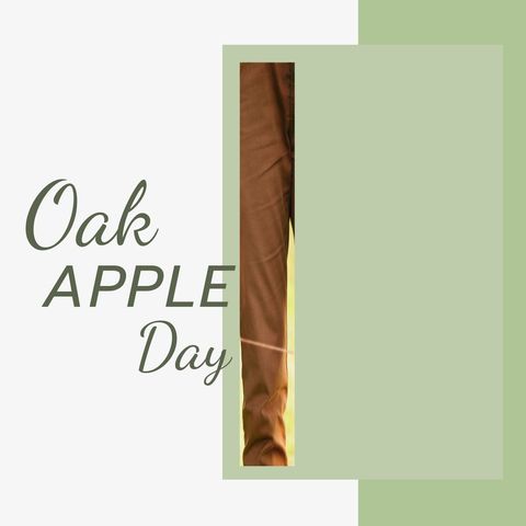 oak apple day celebration design with traditional elements - Download Free Stock Templates Pikwizard.com